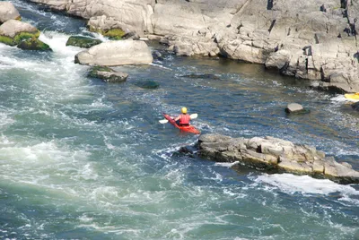DSC_10030 (Large).JPG